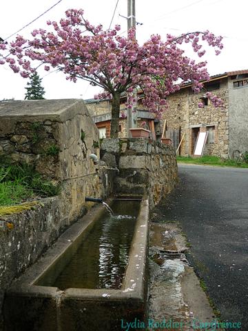 Maison à vendre 5 pièces (63)
