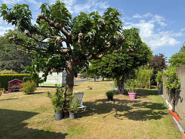 Maison Frossay 3 pièce(s) 59.23 m2