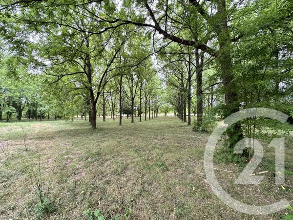 Terrain à vendre  11849 m 2   ALBI  - 81