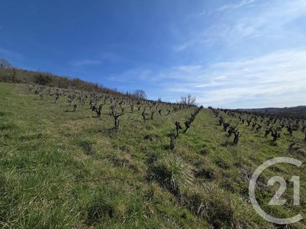 Terrain à vendre  11849 m 2   ALBI  - 81