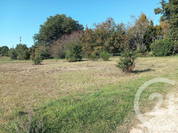 Terrain à vendre  11849 m 2   ALBI  - 81
