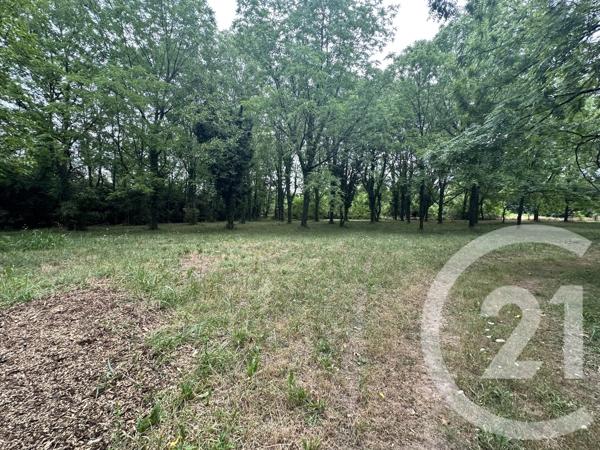 Terrain à vendre  11849 m 2   ALBI  - 81