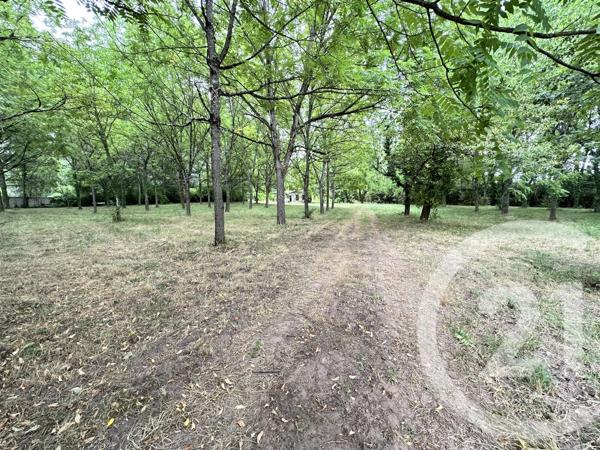 Terrain à vendre  11849 m 2   ALBI  - 81