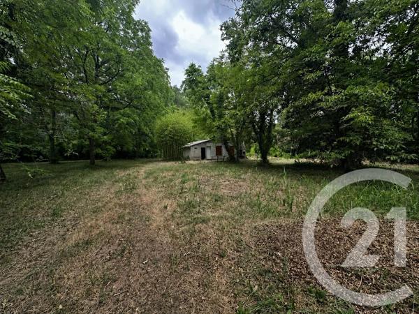 Terrain à vendre  11849 m 2   ALBI  - 81