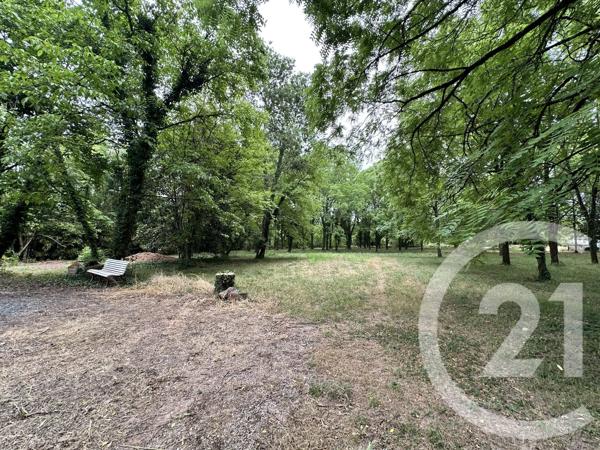 Terrain à vendre  11849 m 2   ALBI  - 81