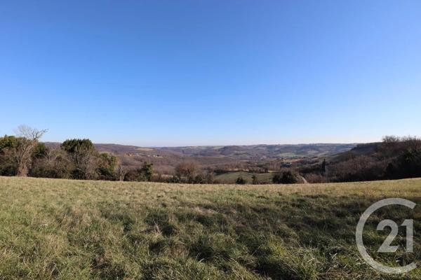 Terrain à vendre  11849 m 2   ALBI  - 81
