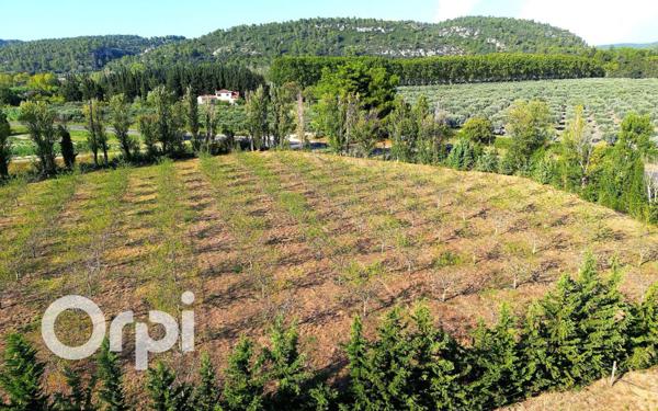 Terrain à vendre    Fontvieille