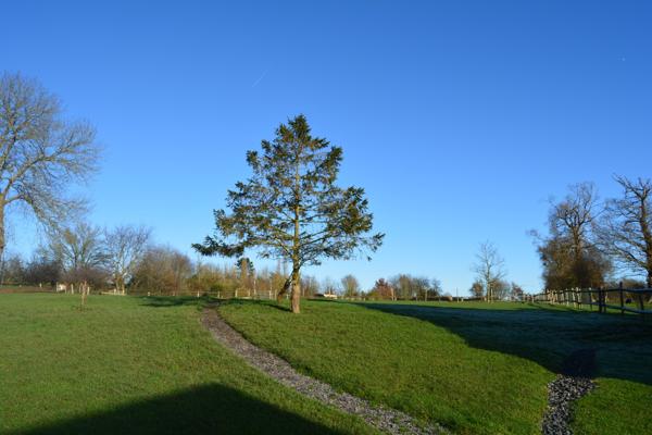 Maison 7 pièces - 210 m² Bien prestige