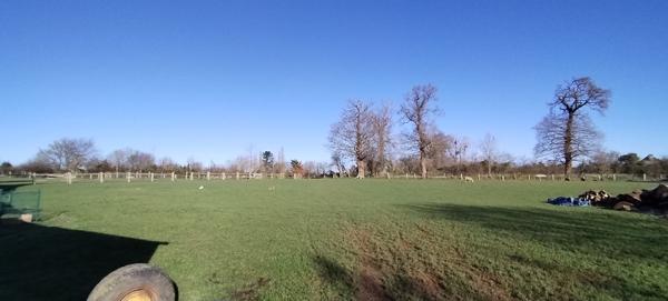 Maison 7 pièces - 210 m² Bien prestige