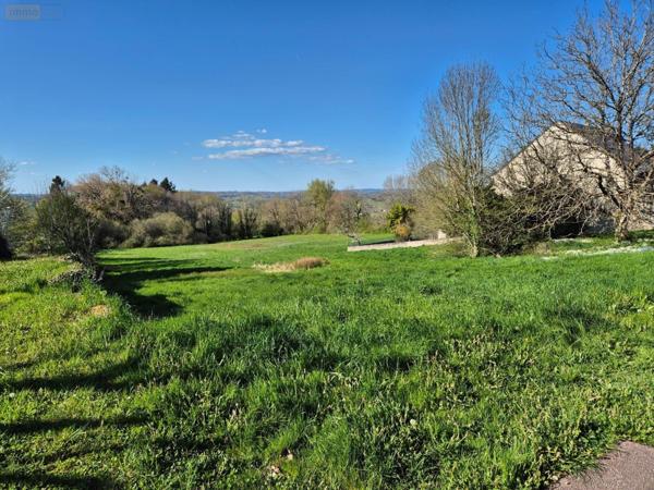 Terrain à Batir à vendre à Sainte-Féréole en Corrèze (19270), ref : 19037-284