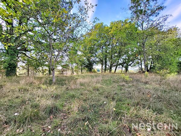 À vendre Propriété avec Maison en pierre de 280 m² avec et parc de 7 hectares avec lac à Mézin