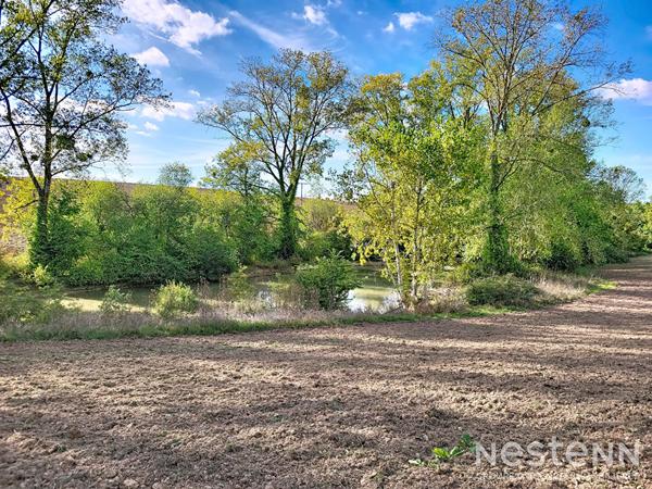 À vendre Propriété avec Maison en pierre de 280 m² avec et parc de 7 hectares avec lac à Mézin