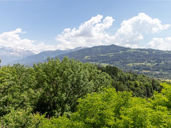 Maison à vendre à Taninges (74440) - Haute-Savoie