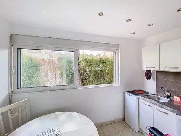 Vente Appartement 1 pièces 24 m2 à Calvi