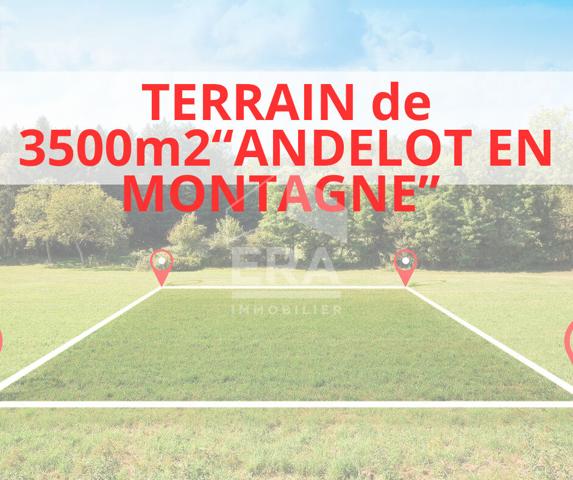Superbe terrain plat constructible ? Plus de 35 ares ? Idéal projet 2 maisons ? Proche Champagnole / Arbois