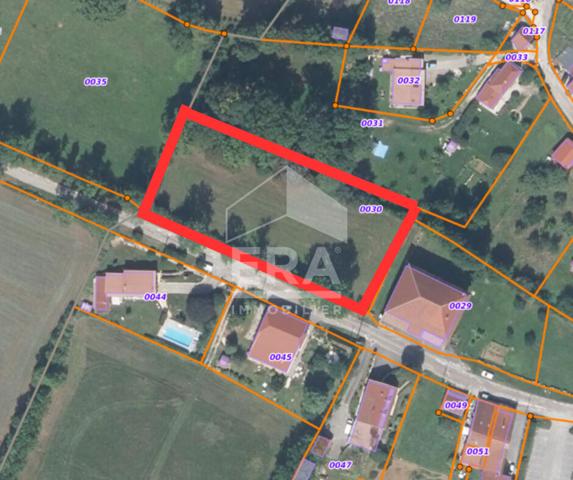 Superbe terrain plat constructible ? Plus de 35 ares ? Idéal projet 2 maisons ? Proche Champagnole / Arbois