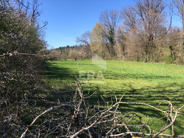 Superbe terrain plat constructible ? Plus de 35 ares ? Idéal projet 2 maisons ? Proche Champagnole / Arbois