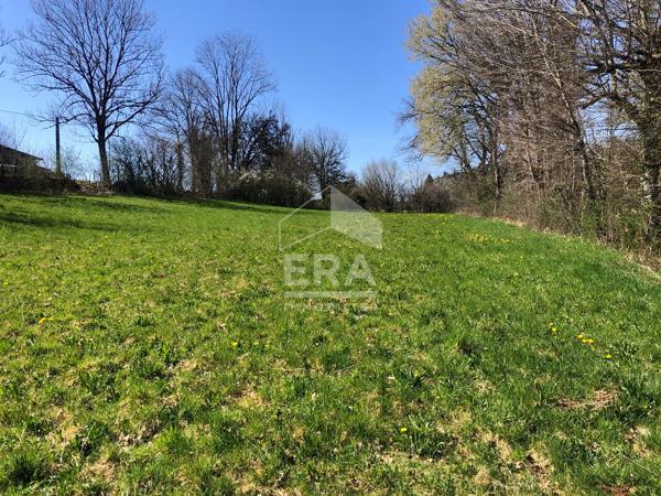 Superbe terrain plat constructible ? Plus de 35 ares ? Idéal projet 2 maisons ? Proche Champagnole / Arbois