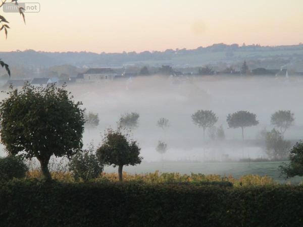 Maison à vendre à Montjean-sur-Loire dans le Maine-et-Loire (49570), ref : 49019-3503