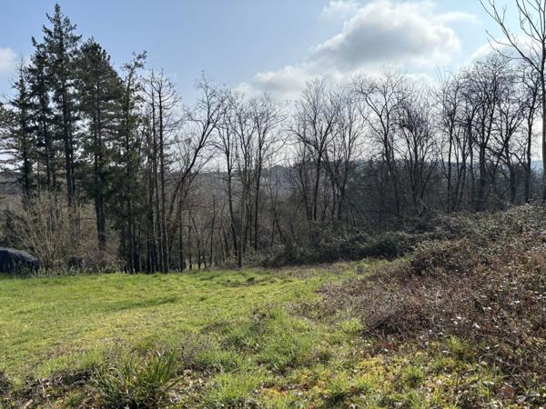 Terrain - 3327 m² Exclusivité efficity