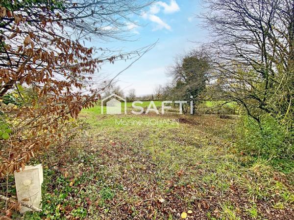 Terrain à vendre de 2674 m2 à Villers Farlay