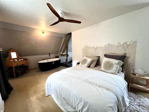 PROPRIETE 20MN VENDOME NORD TGV 300 m2