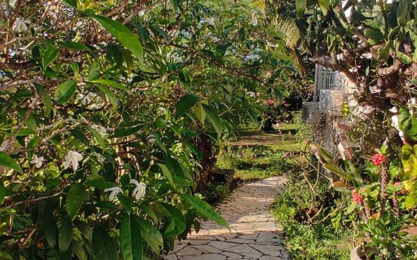 Maison à vendre    4 pièces • 118 m2 Sainte-Rose