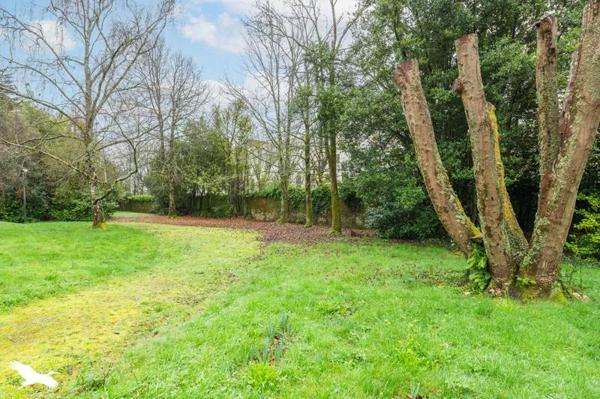 Appartement à vendre |                                       Nantes |                                        2 pièces  |  55 m²