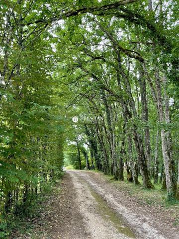 Belle propriété périgourdine 18ème en position dominante sur environ 7 hectares. Secteur Le Bugue., LE BUGUE