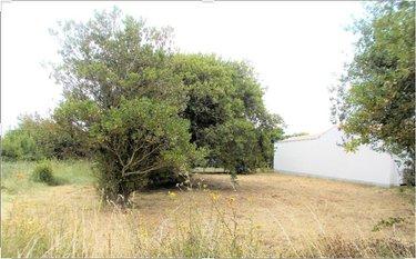 Terrain à Batir à vendre à Saint-Denis-d'Oléron en Charente-Maritime (17650), ref : DD/JOM/23-21 La Bétaudière Terrain à Batir à vendre à Saint-Denis-d'Oléron en Charente-Maritime (17650), ref : DD/JOM/23-21 La Bétaudière