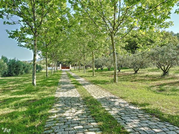 GRANDE PROPRIÉTÉ DE CARACTÈRE