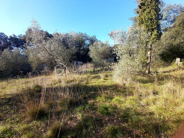 Terrain de loisirs de 5 910 m²