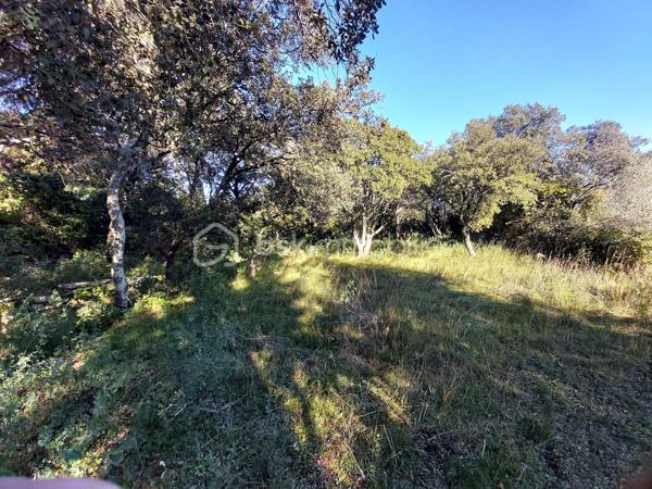 Terrain de loisirs de 5 910 m²