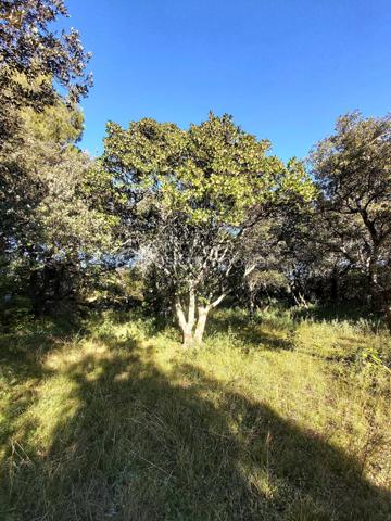 Terrain de loisirs de 5 910 m²