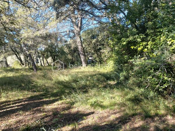 Terrain de loisirs de 5 910 m²