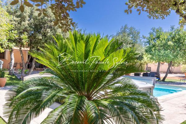 BELLE Maison St Didier 178 m2 sur 3250 m2 avec piscine HYPER CALME