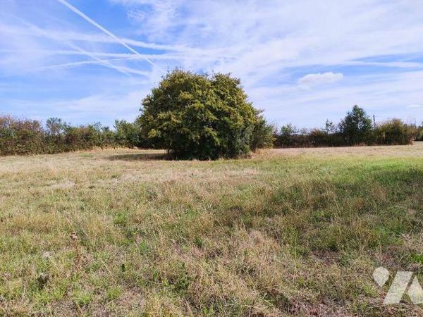 A 8 min de Chauvigny, au coeur de la campagne chauvinoise, à 300 m du premier voisin, ensemble ...