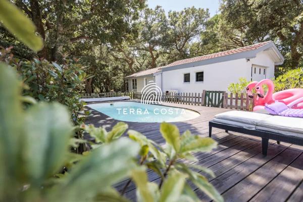 En lisiere de foret et des plages Landaises