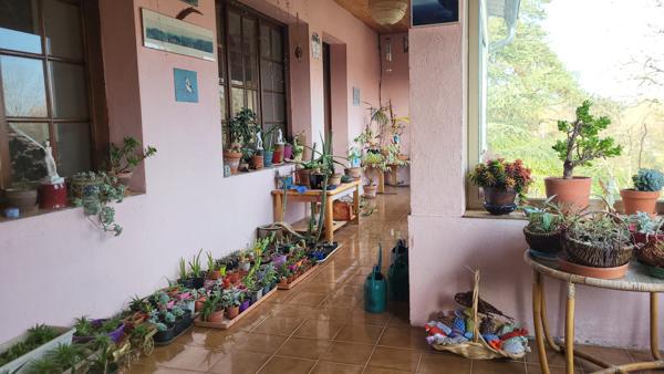 Chapelle-Voland (39140) Maison Chapelle Voland