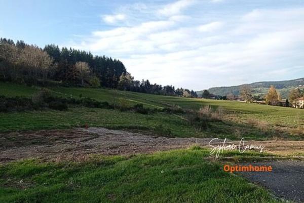 Terrain à vendre de 1 074,00 m² DUNIERES (43)