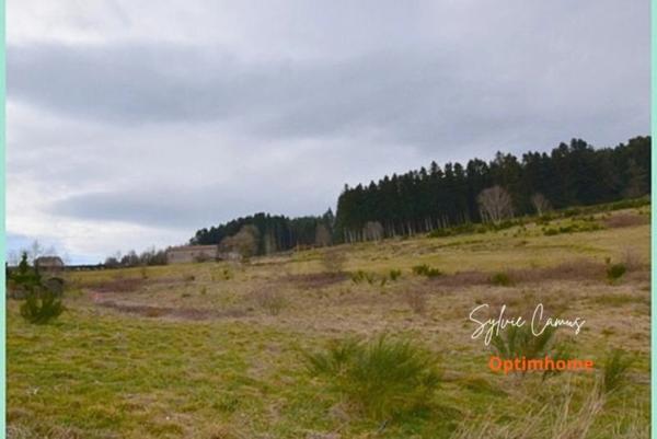 Terrain à vendre de 1 074,00 m² DUNIERES (43)