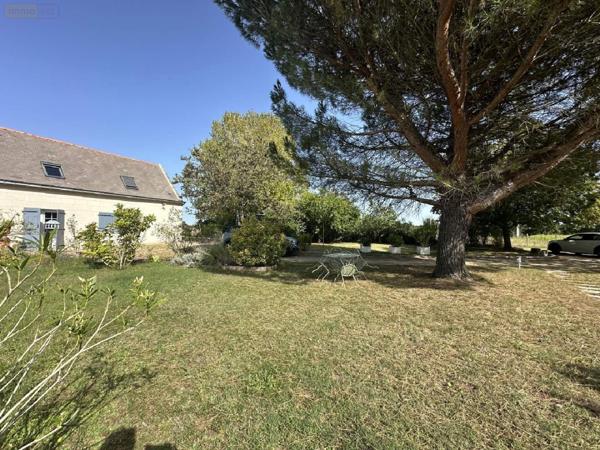 Maison à vendre à Chouzé-sur-Loire dans l'Indre-et-Loire (37140), ref : 2023/1950   
BOURGUEIL