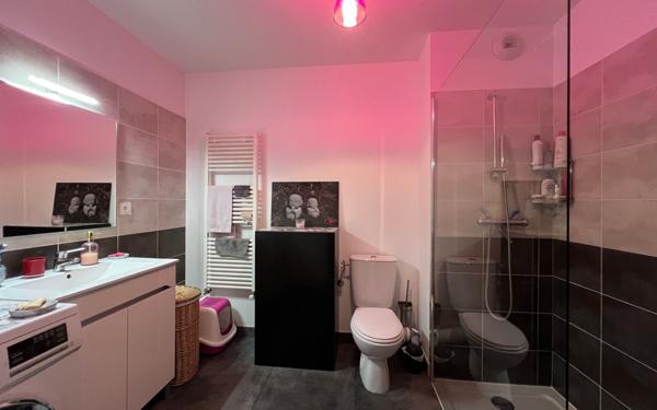 Appartement à vendre    2 pièces • 46,91 m2 Rumilly