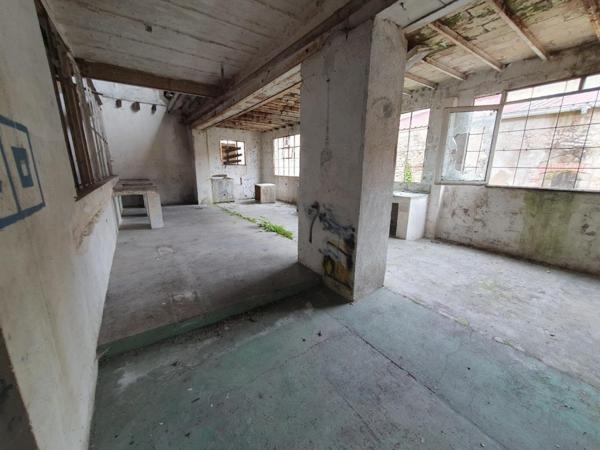 SPECIAL INVESTISEURS