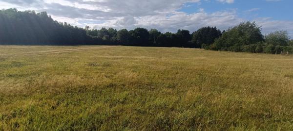 Terrain constructible.  9159 M2 m2 luxeuil