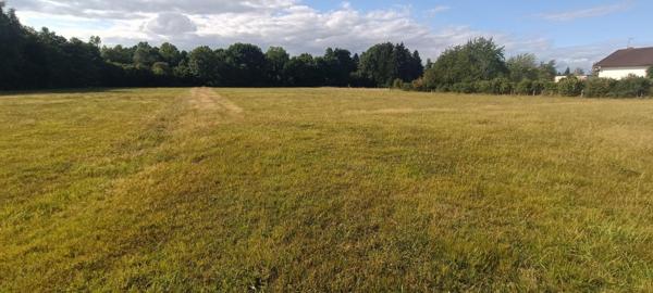 Terrain constructible.  9159 M2 m2 luxeuil