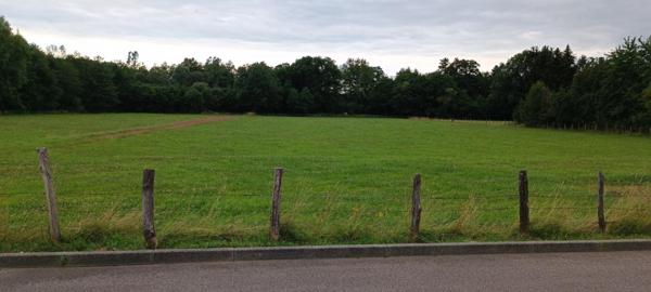 Terrain constructible.  9159 M2 m2 luxeuil