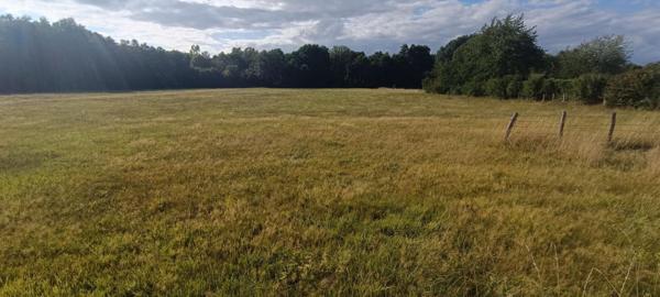 Terrain constructible.  9159 M2 m2 luxeuil