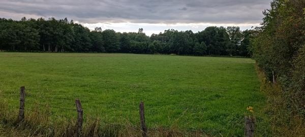 Terrain constructible.  9159 M2 m2 luxeuil