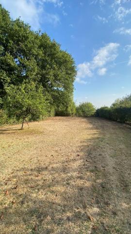 Maison Saujon 5 pièce(s)